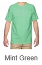 Load image into Gallery viewer, T-SHIRT -Mint Green
