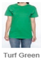 Load image into Gallery viewer, T-SHIRT -Turf Green
