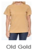 Load image into Gallery viewer, T-SHIRT -Old Gold
